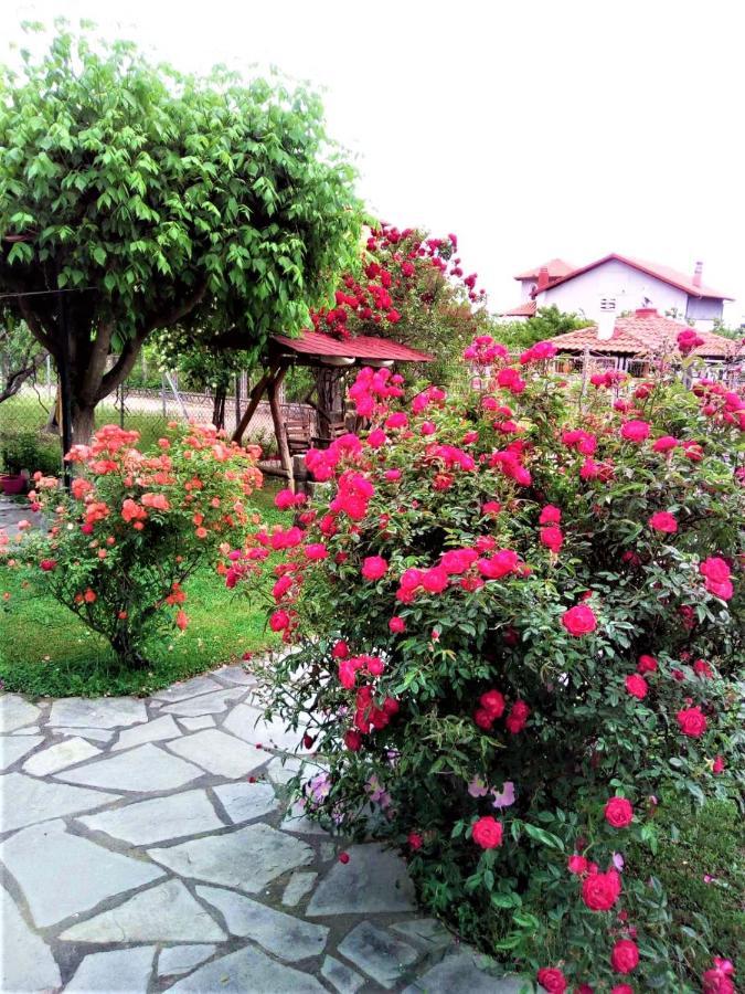 Villa Jenny Leptokarya  Dış mekan fotoğraf