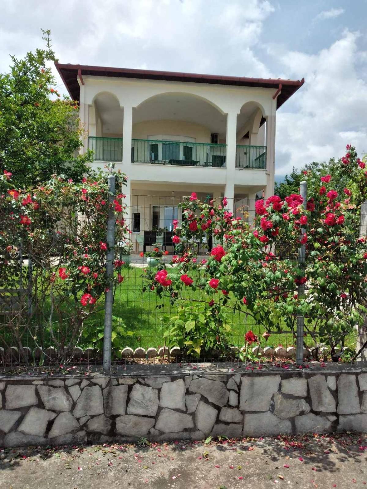 Villa Jenny Leptokarya  Dış mekan fotoğraf